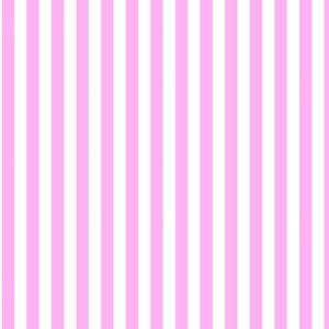 Meet your Posher, Kyleigh